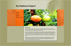 #1 Best Selling Website Builder Software for Windows